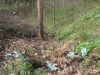 DSC04867_resize.JPG