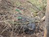 DSC04868_resize.JPG