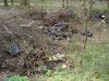 DSC04869_resize.JPG