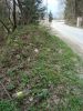 DSC04880_resize.JPG