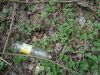 DSC04881_resize.JPG