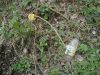DSC04882_resize.JPG