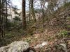 DSC04884_resize.JPG