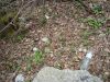 DSC04885_resize.JPG
