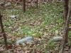 DSC04887_resize.JPG