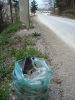 DSC04888_resize.JPG