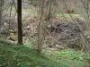 DSC04891_resize.JPG
